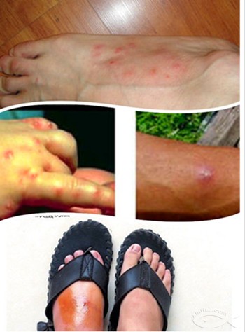 1538541250966536.jpg 6_810244_f94dbc20a958c3e.jpg