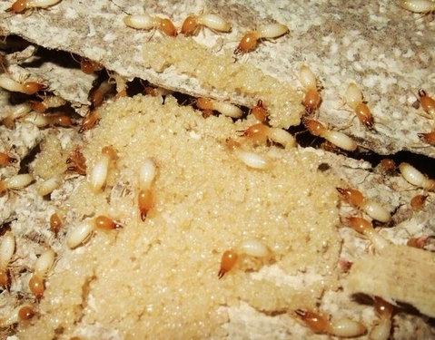 1539527585968215.jpg GMT14-07-04-C98BE622922344A9B97EA96DD4367F14.jpg