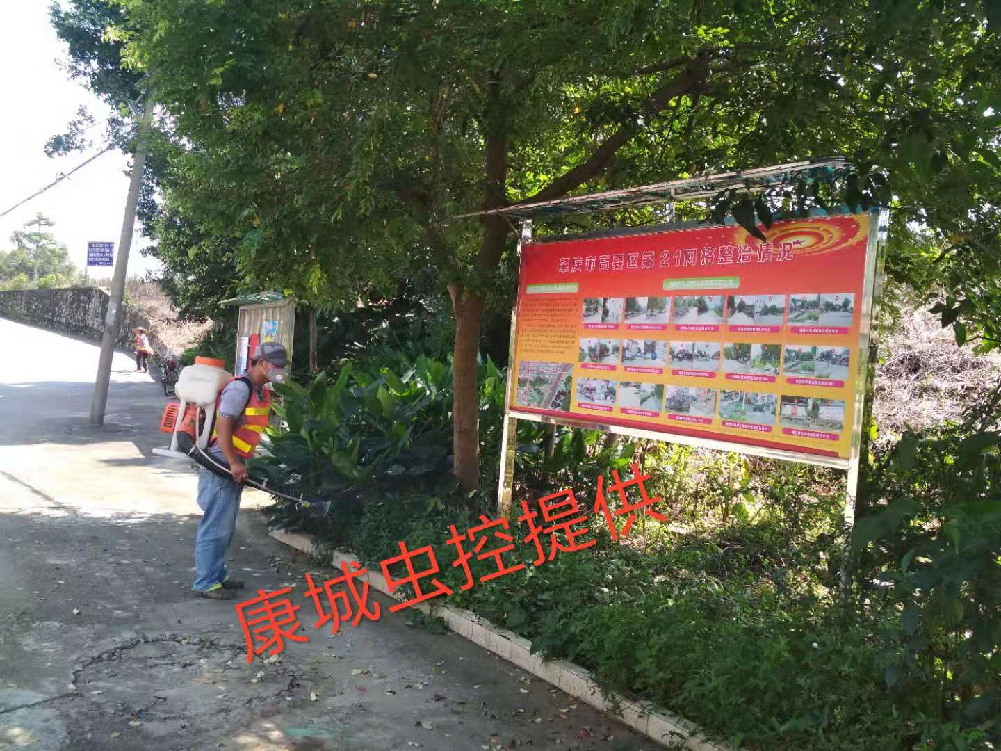 1552634477563286.jpg ead82564c756d8af027270bb93d4e1f.jpg