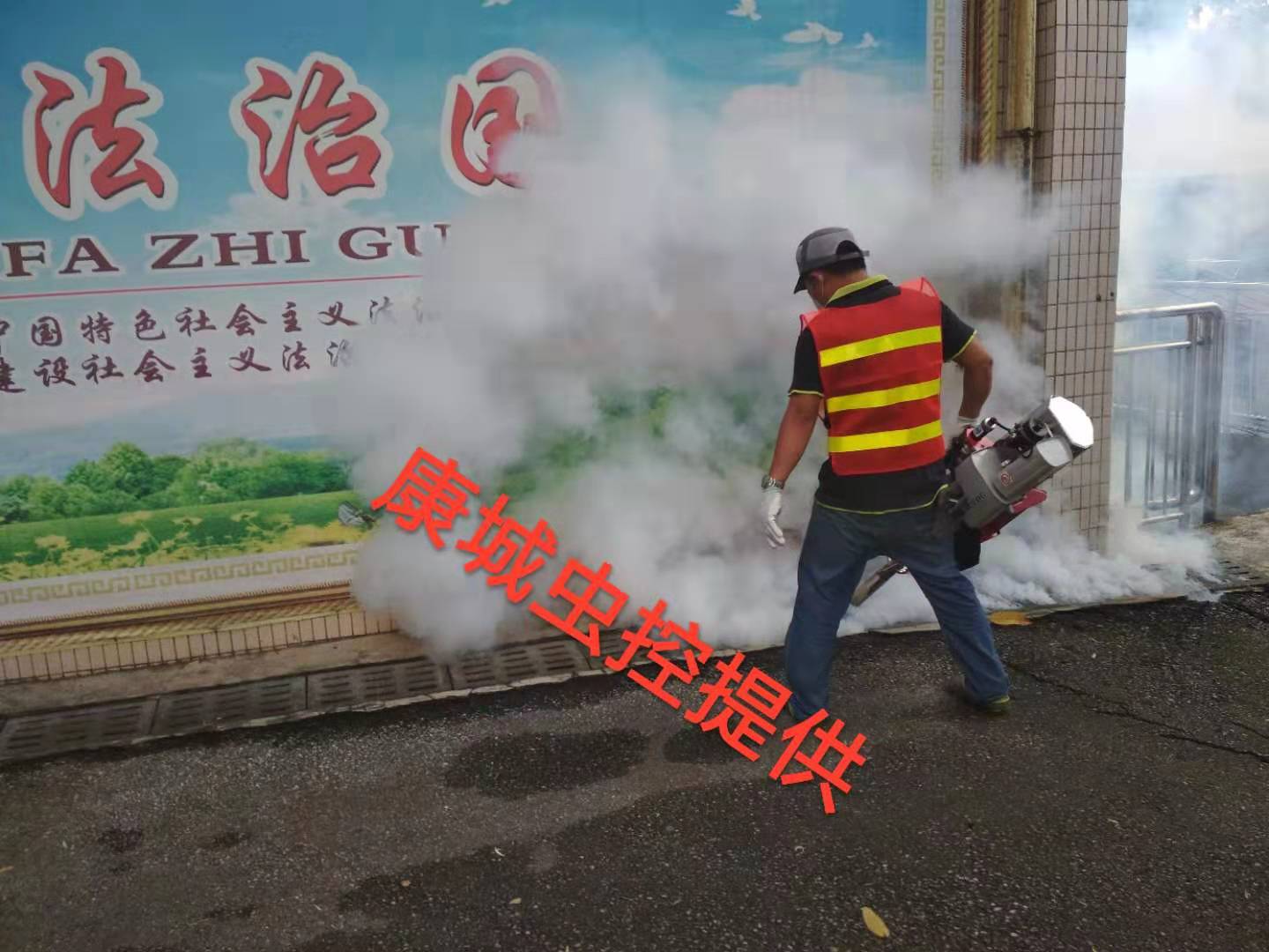 1552634741701245.jpg 46711be3cdc6942b12a78aa94df3f94.jpg