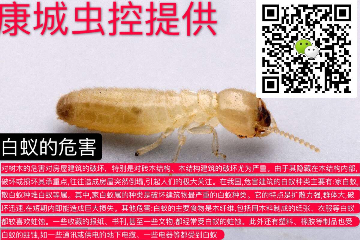 1555563974497705.jpg 微信圖片_20190418124705.jpg